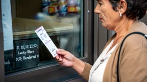 Tekeningstatistieken: verdeling van aantallen en winsten